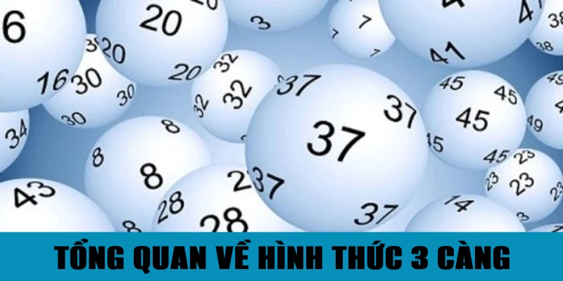 Tổng quan về soi cầu 3 càng